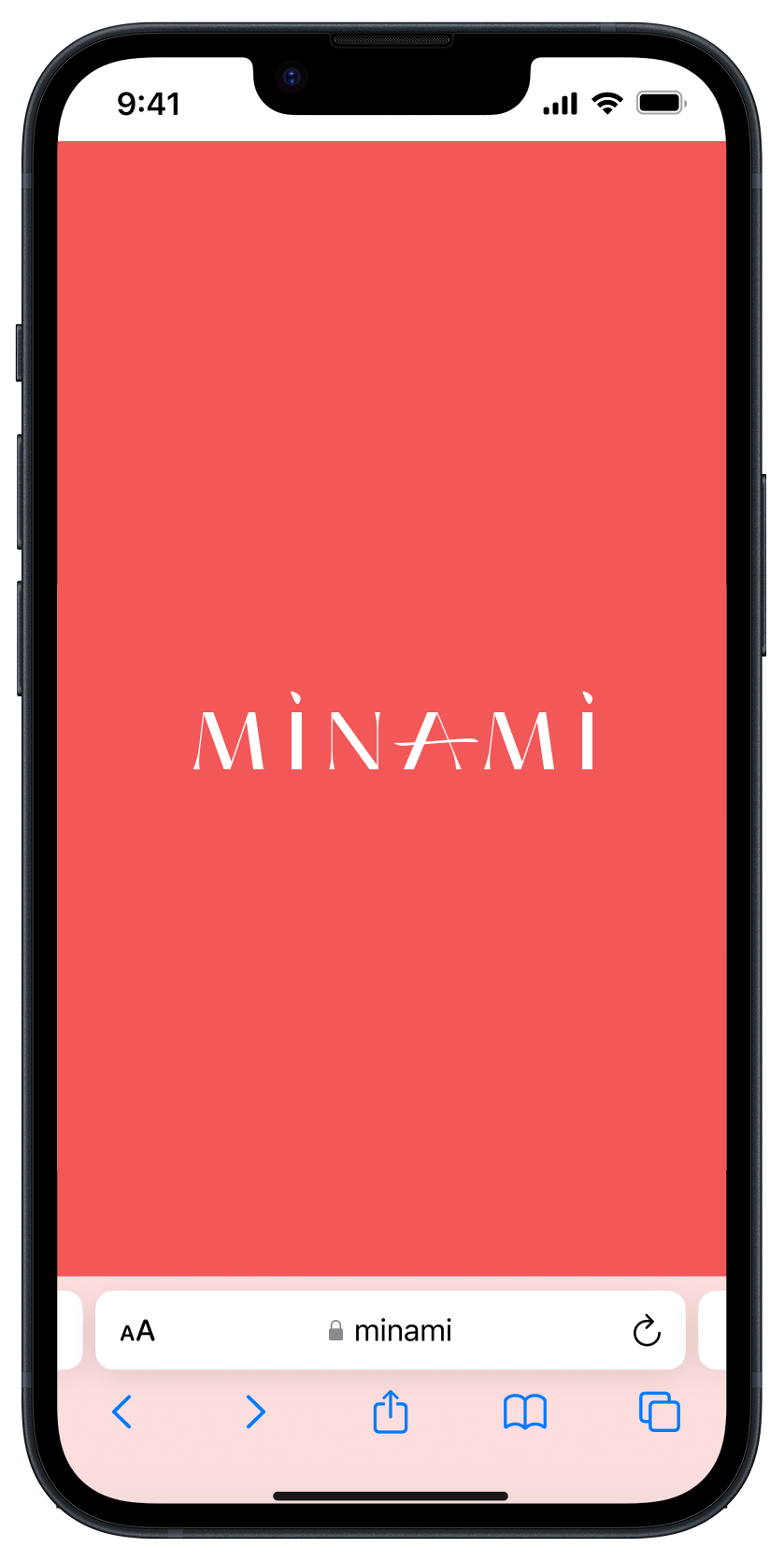 Фото MINAMI - удобно и быстро | Фото №0